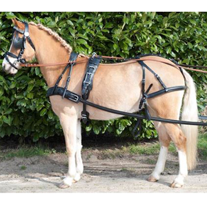 vozatajské postroje